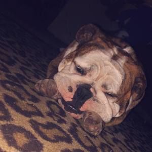 Meet your Posher, Savannah